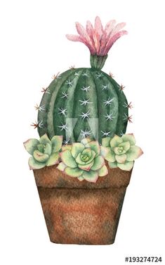 Detail Gambar Lukisan Kaktus Nomer 11