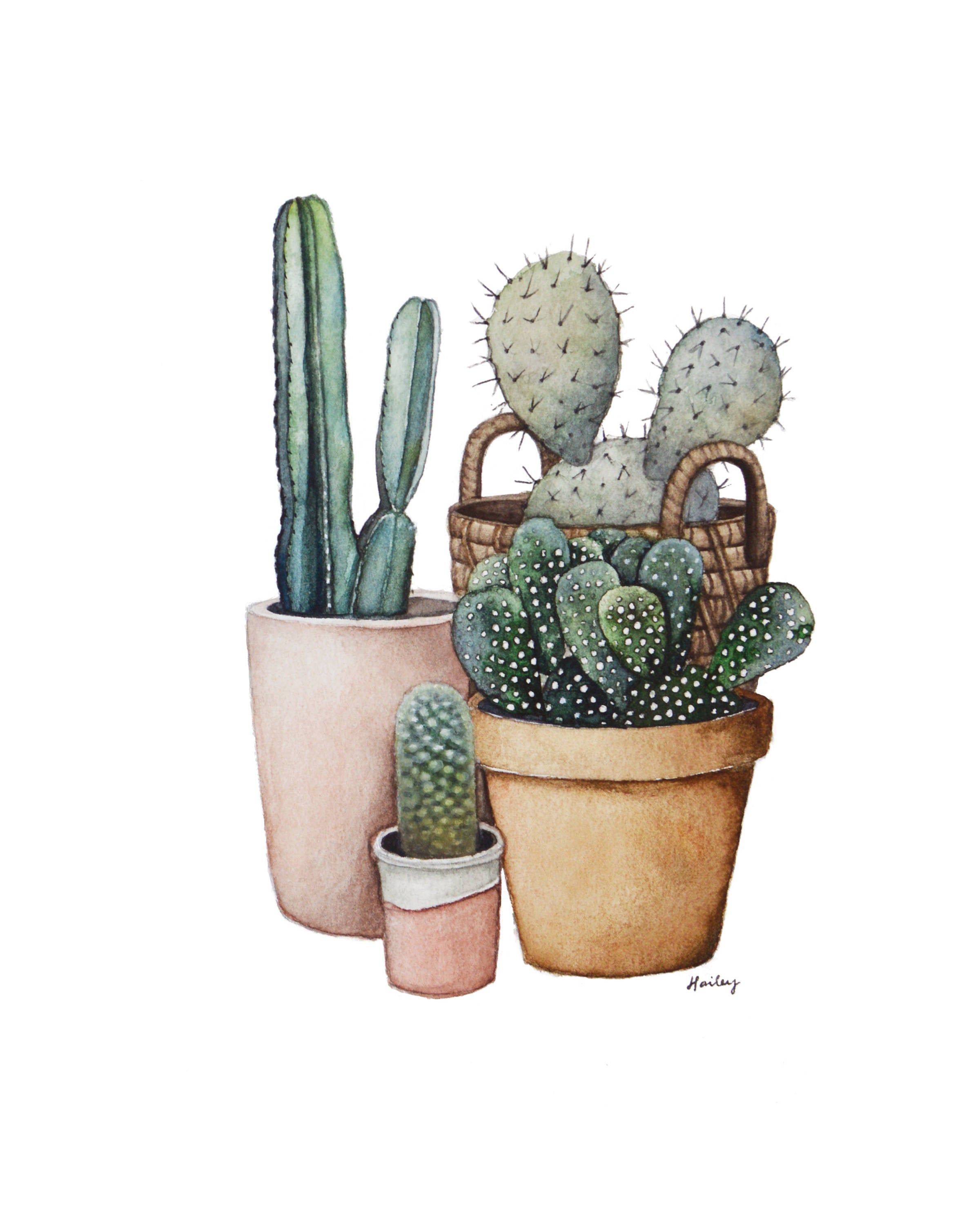 Detail Gambar Lukisan Kaktus Nomer 17