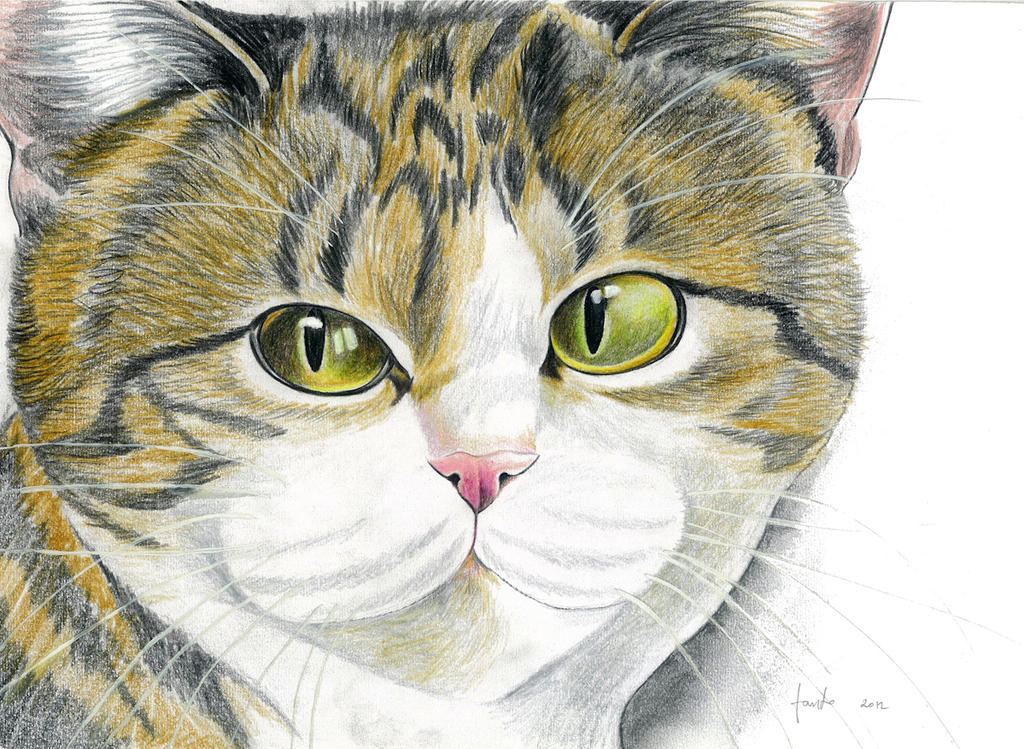 Detail Gambar Lukisan Kucing Nomer 30