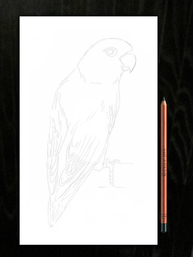 Detail Gambar Lukisan Lovebird Nomer 14