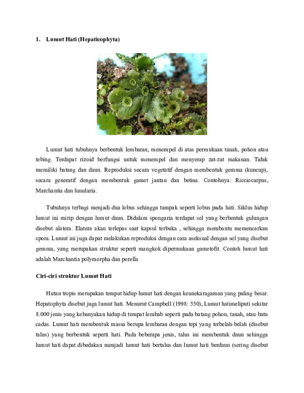 Detail Gambar Lumut Marchantia Polymorpha Nomer 52