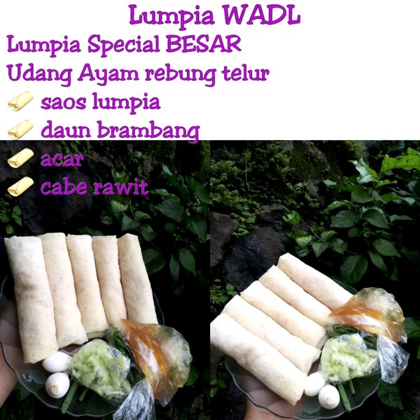 Detail Gambar Lunpia Jumbo Dngan Besek Nomer 58