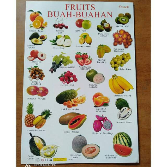 Download Gambar Macam Buah Buahan Nomer 1