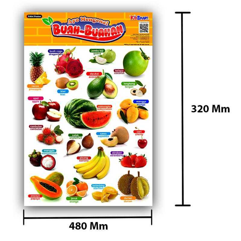 Detail Gambar Macam Buah Buahan Nomer 11