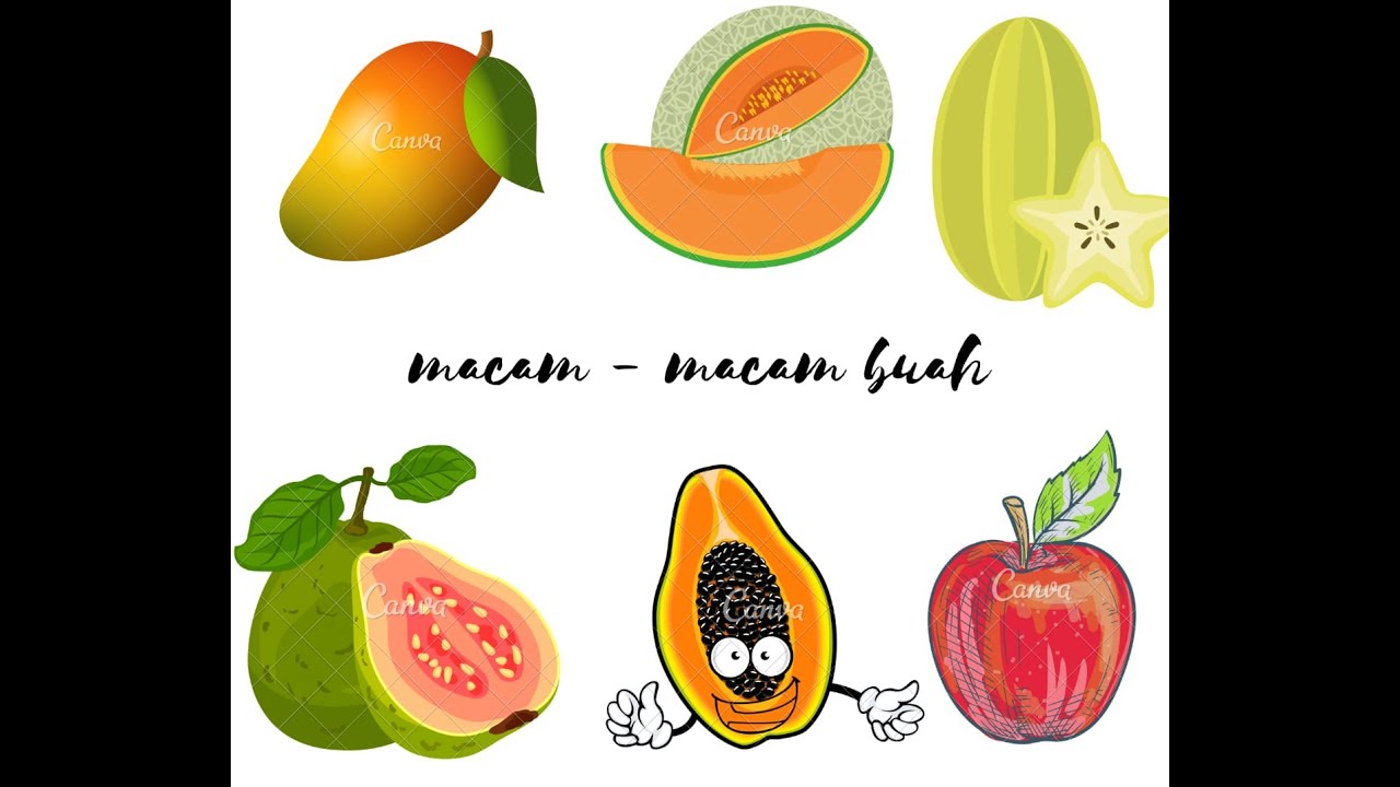 Detail Gambar Macam Buah Buahan Nomer 44