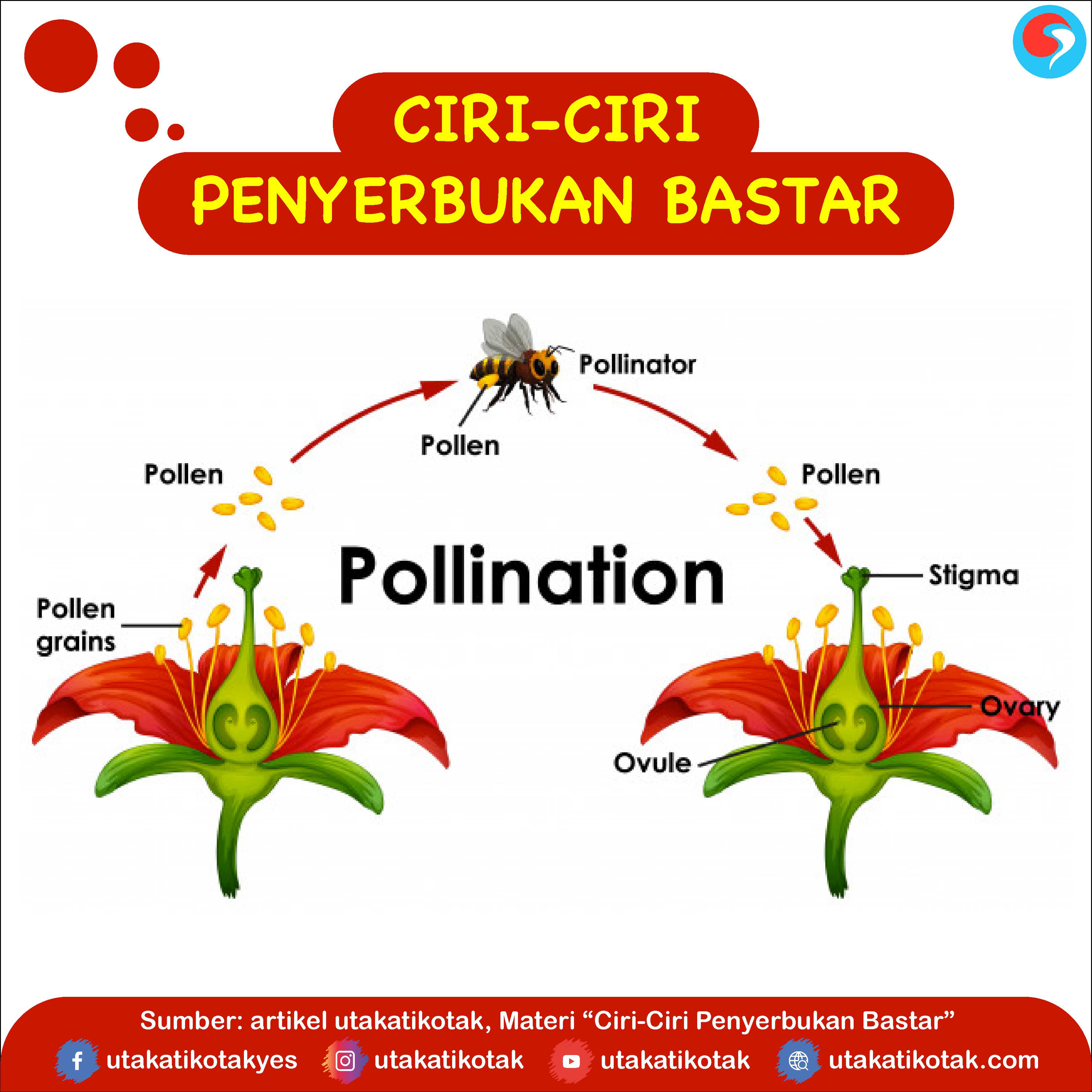 Detail Gambar Macam Macam Penyerbukan Nomer 32