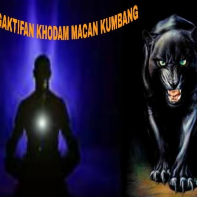 Detail Gambar Macan Hitam Nomer 22