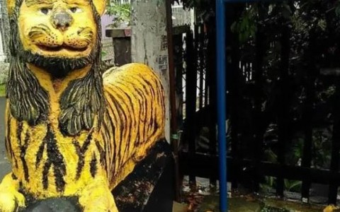 Detail Gambar Macan Lucu Nomer 48