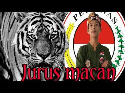 Detail Gambar Macan Persinas Nomer 17