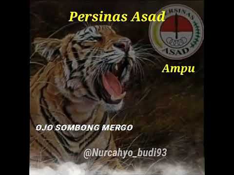 Detail Gambar Macan Persinas Nomer 3