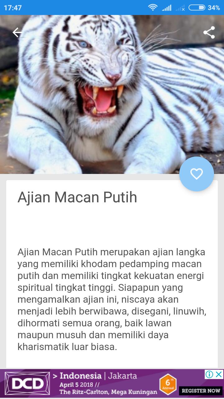 Detail Gambar Macan Prabu Siliwangi Nomer 58