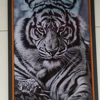 Detail Gambar Macan Regu Nomer 48
