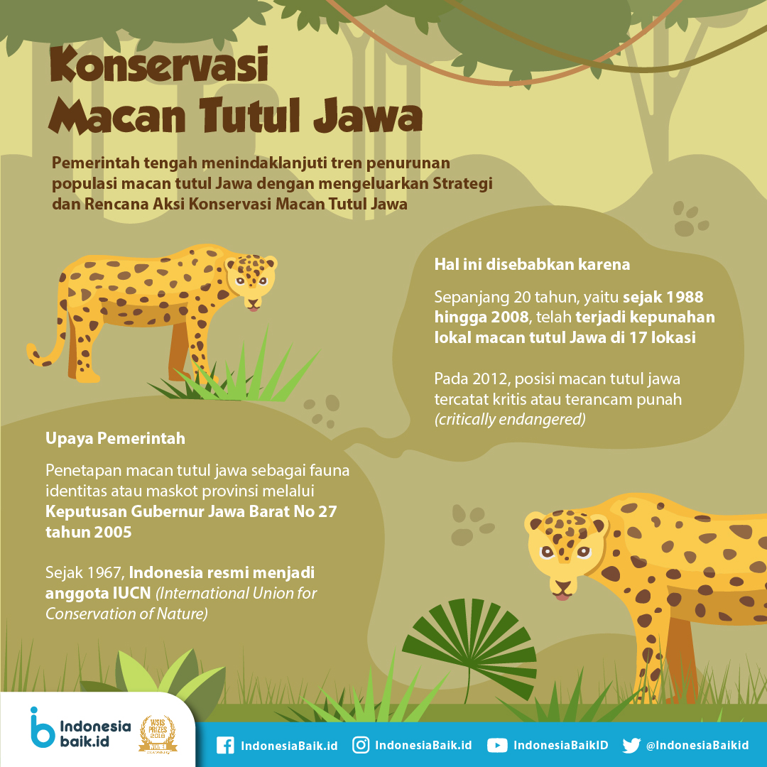 Detail Gambar Macan Tutul Jawa Nomer 15