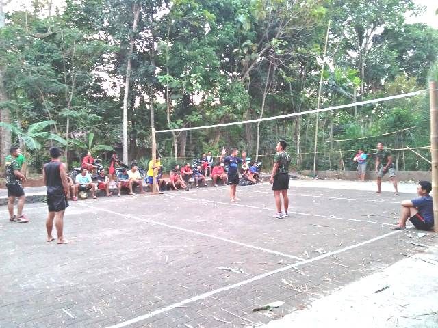 Detail Gambar Main Volly Nomer 37