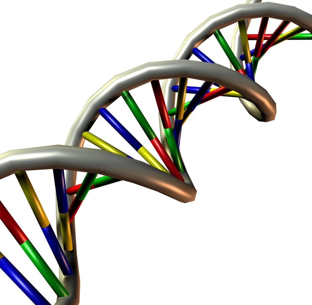 Detail Bilder Dna Doppelhelix Nomer 18