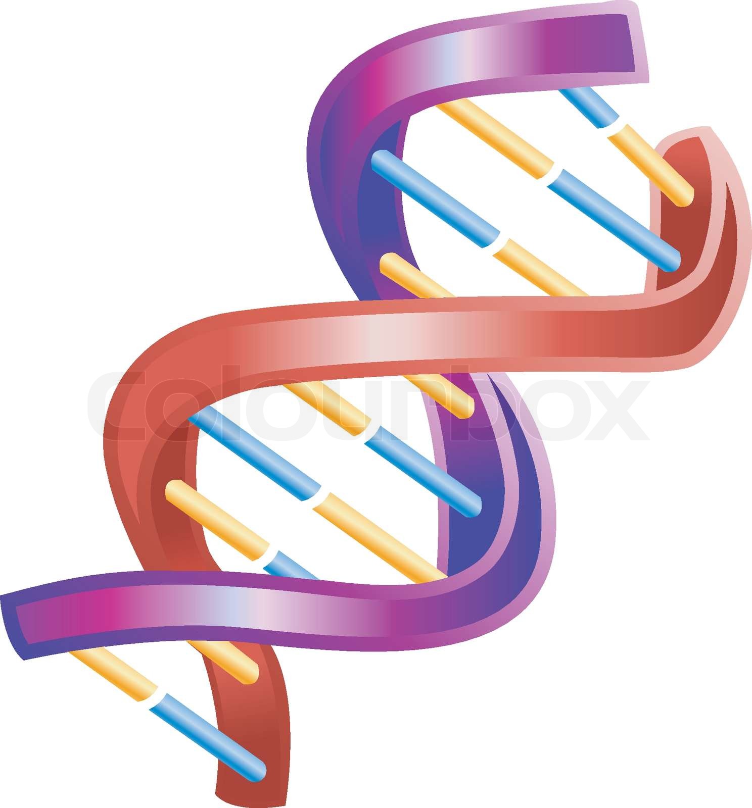 Detail Bilder Dna Doppelhelix Nomer 22