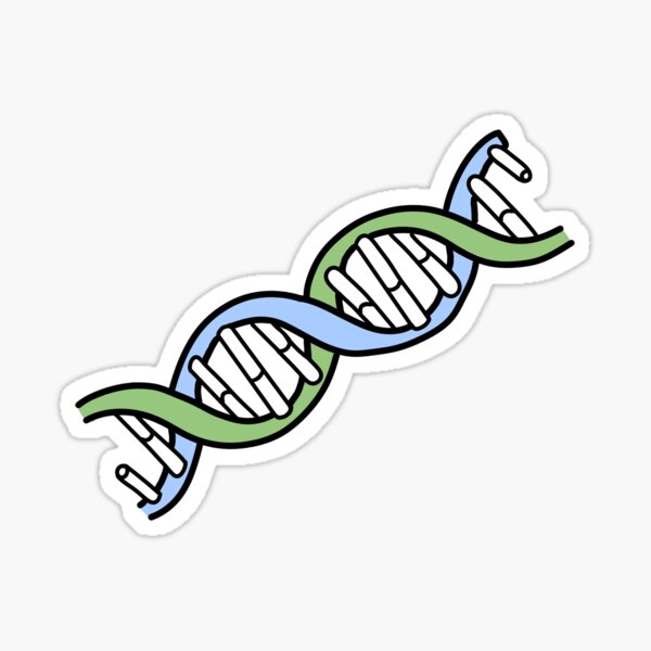 Detail Bilder Dna Doppelhelix Nomer 3