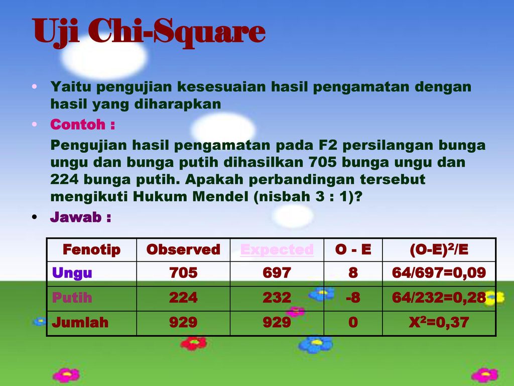 Detail Contoh Soal Uji Chi Square Nomer 15