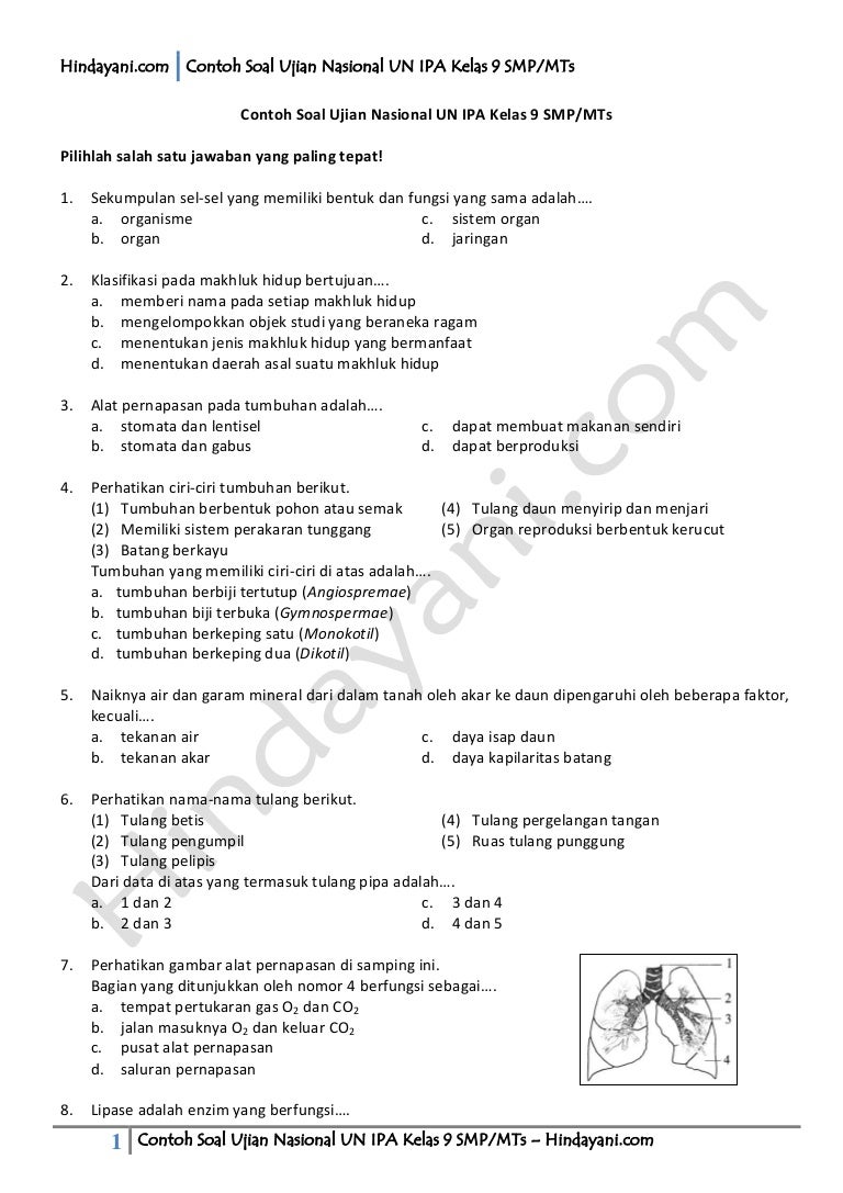 Detail Contoh Soal Un Smp Nomer 12