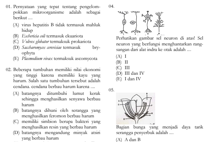 Detail Contoh Soal Utbk Saintek Nomer 55