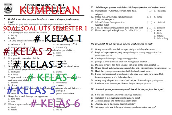 Detail Contoh Soal Uts Kelas 1 Sd Nomer 24