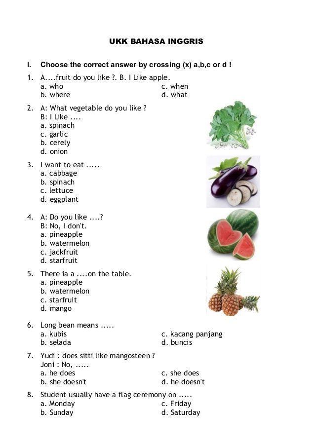 Detail Contoh Soal Vocabulary Nomer 10