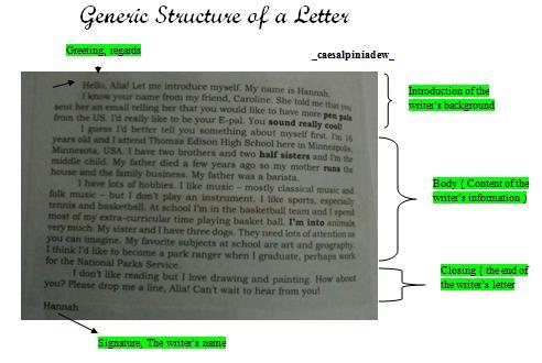 Detail Contoh Social Function Nomer 4