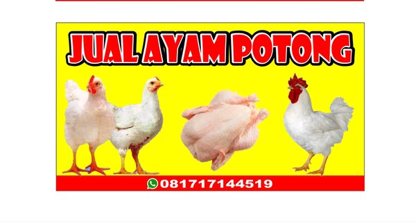 Detail Contoh Spanduk Ayam Potong Nomer 7
