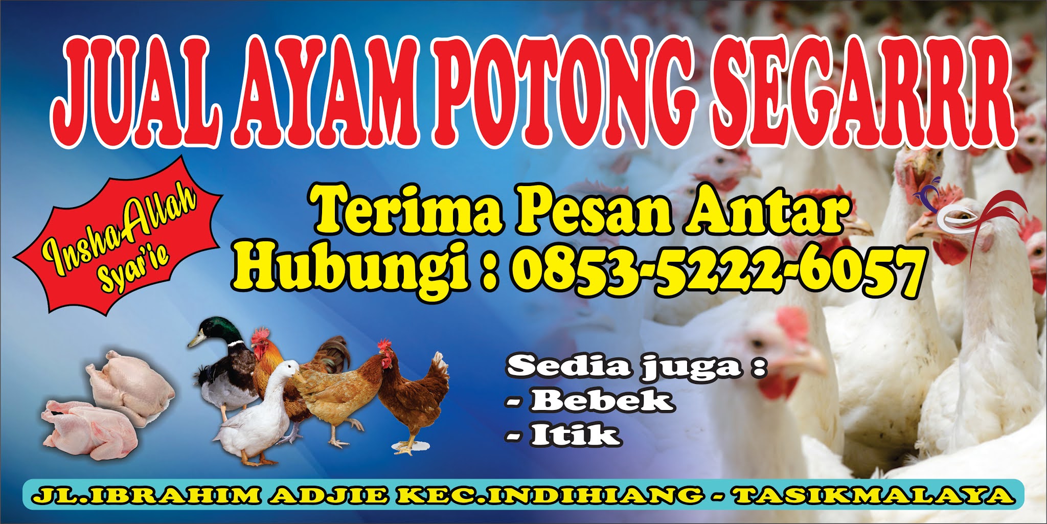 Detail Contoh Spanduk Jual Ayam Potong Nomer 17