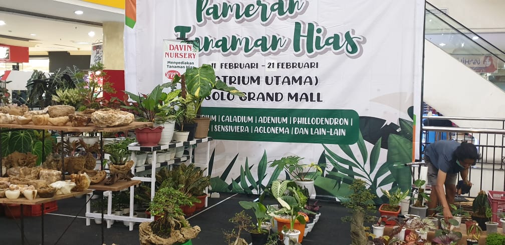 Detail Contoh Spanduk Jual Tanaman Hias Nomer 18