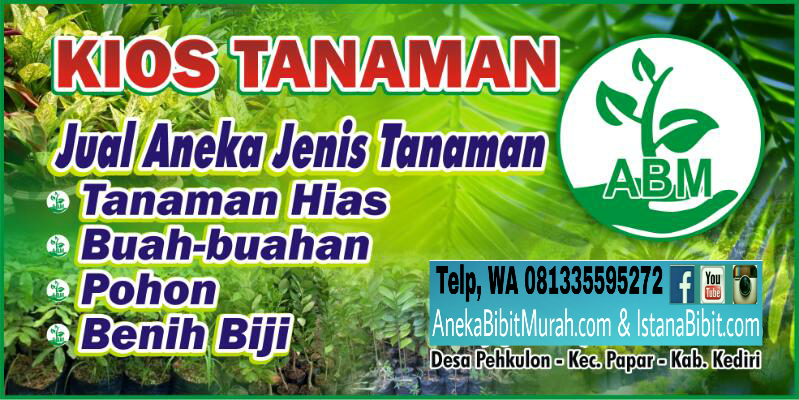 Detail Contoh Spanduk Jual Tanaman Hias Nomer 8