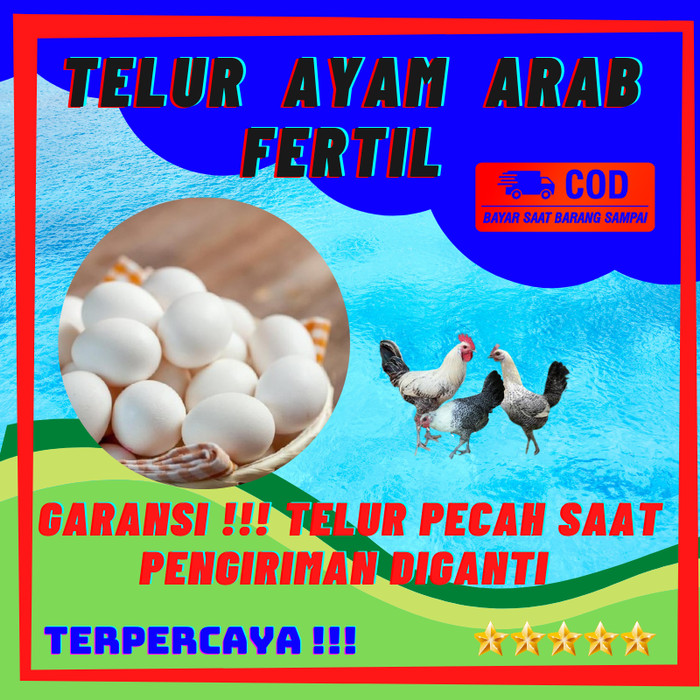 Detail Contoh Spanduk Jual Telur Ayam Nomer 45