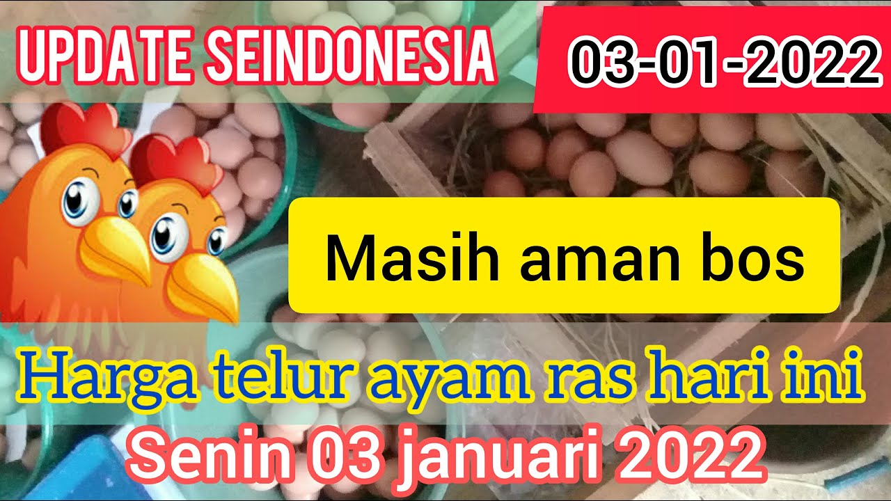 Detail Contoh Spanduk Jual Telur Ayam Nomer 50