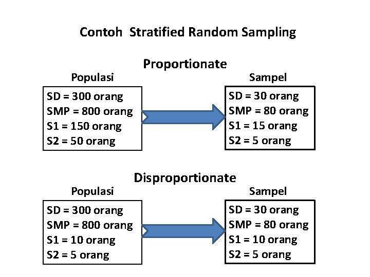 Detail Contoh Stratified Sampling Nomer 9