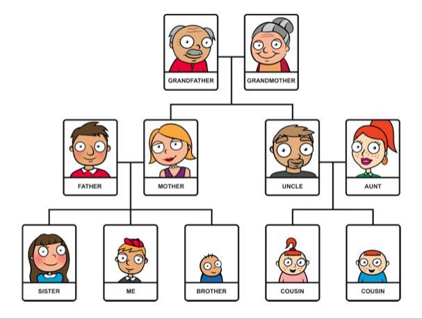 Detail Contoh Struktur Keluarga Nomer 8
