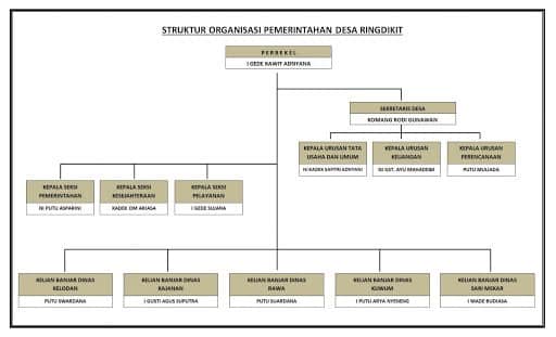 Detail Contoh Struktur Organisasi Nomer 35