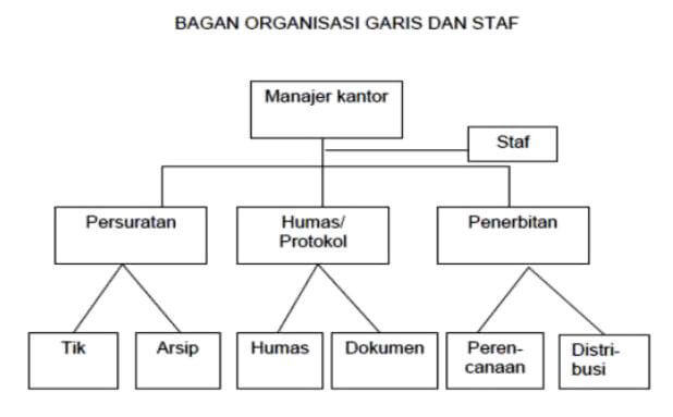 Detail Contoh Struktur Organisasi Lini Dan Staf Nomer 14