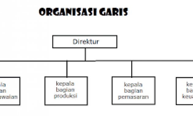 Detail Contoh Struktur Organisasi Lini Dan Staf Nomer 21