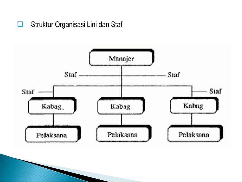 Detail Contoh Struktur Organisasi Lini Dan Staf Nomer 25