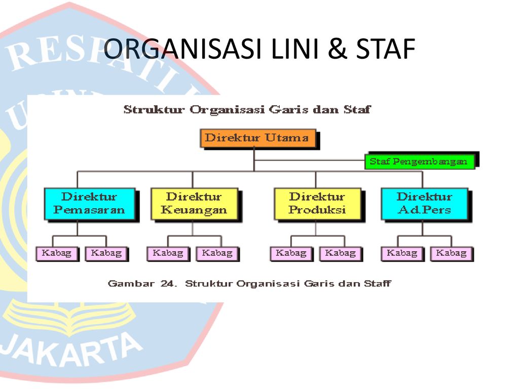 Detail Contoh Struktur Organisasi Lini Dan Staf Nomer 29