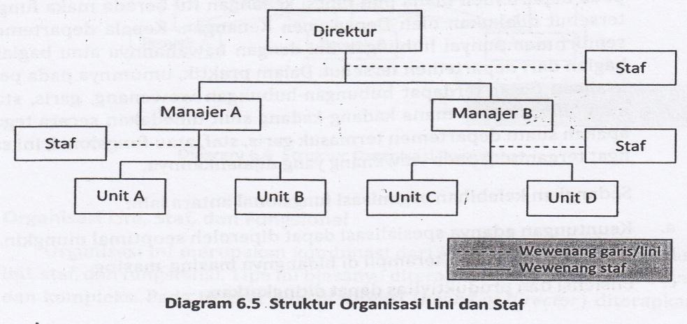 Detail Contoh Struktur Organisasi Lini Dan Staf Nomer 44