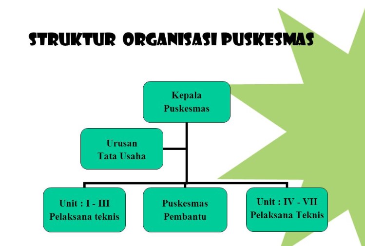 Detail Contoh Struktur Organisasi Lini Dan Staf Nomer 51