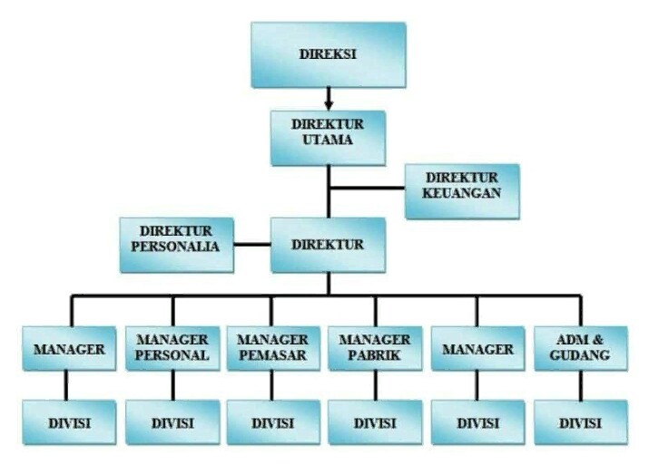 Detail Contoh Struktur Organisasi Perusahaan Nomer 49