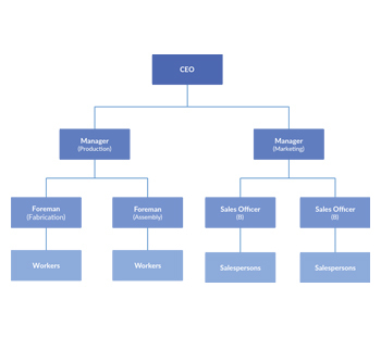 Detail Contoh Struktur Organisasi Perusahaan Jasa Nomer 34