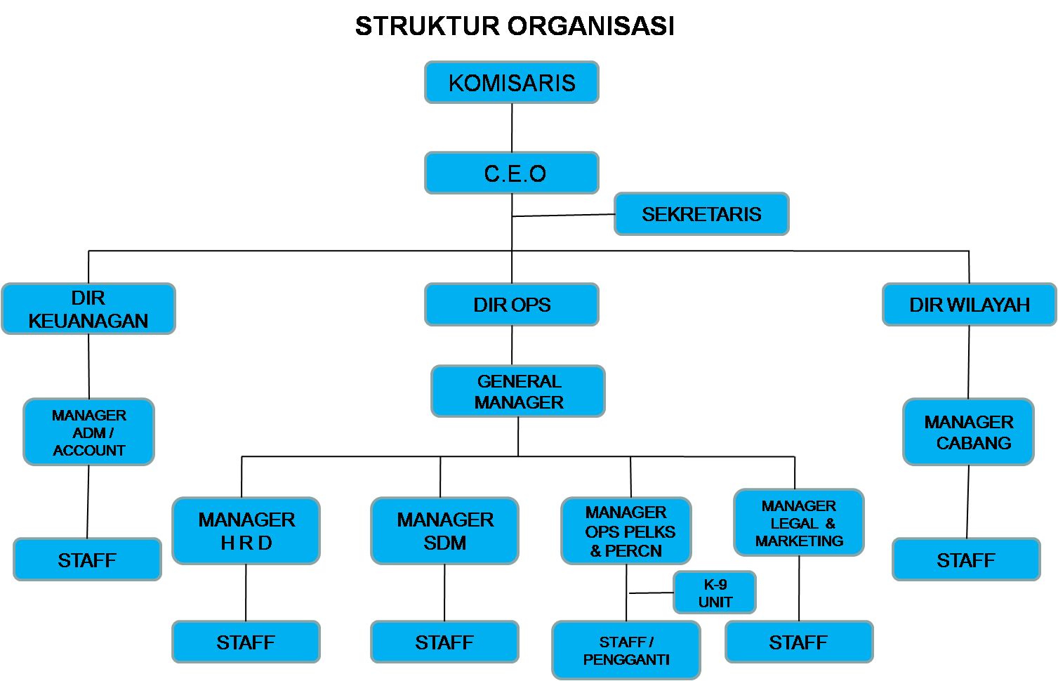 Detail Contoh Struktur Organisasi Perusahaan Jasa Nomer 42