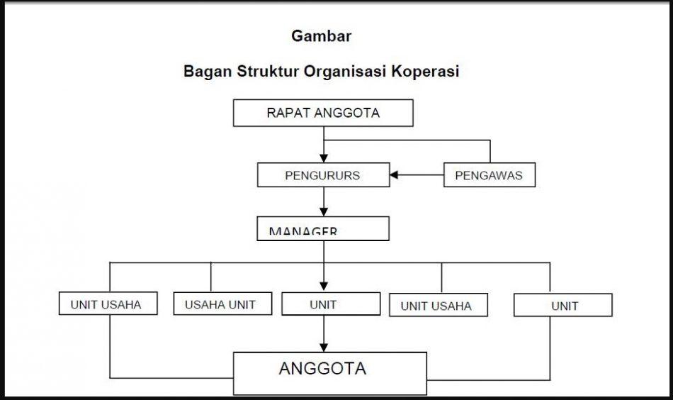 Detail Contoh Struktur Organisasi Perusahaan Kecil Nomer 24