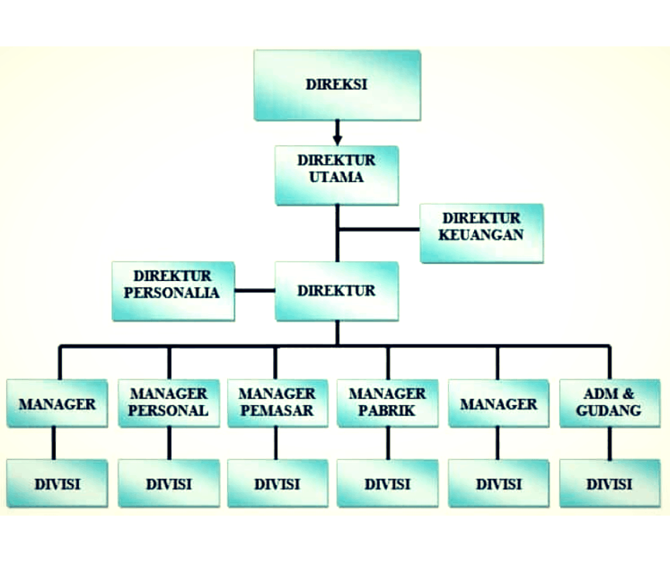 Detail Contoh Struktur Organisasi Perusahaan Kecil Nomer 5