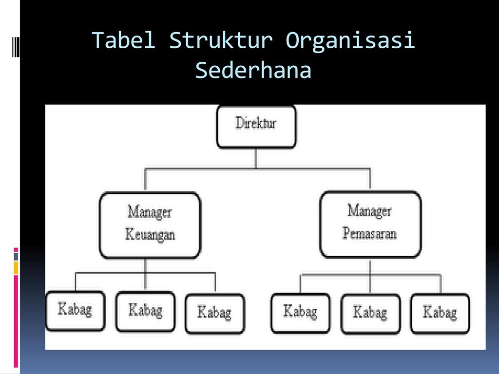 Detail Contoh Struktur Organisasi Perusahaan Kecil Nomer 40