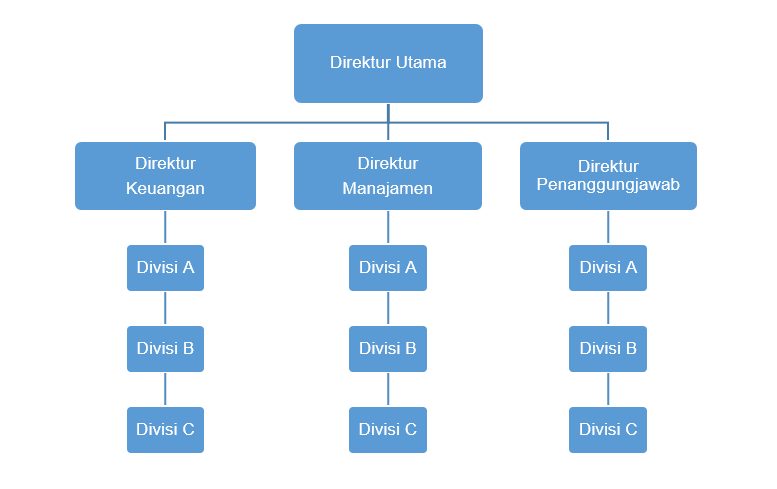 Detail Contoh Struktur Organisasi Perusahaan Kecil Nomer 44