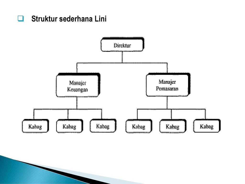 Detail Contoh Struktur Organisasi Perusahaan Kecil Nomer 47